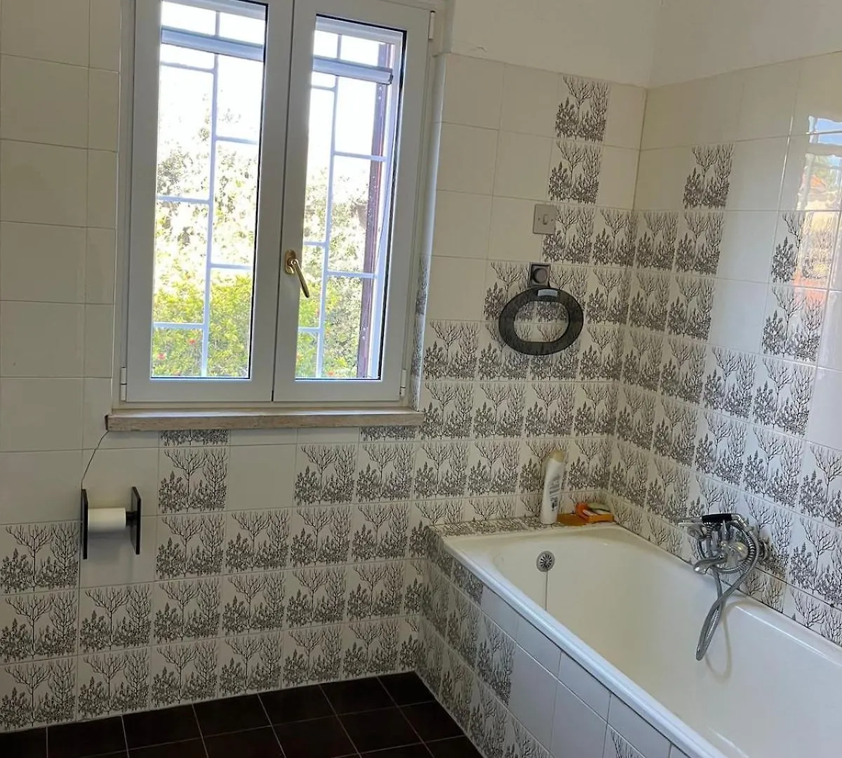 Villa Fiorella Fregenae Apartment